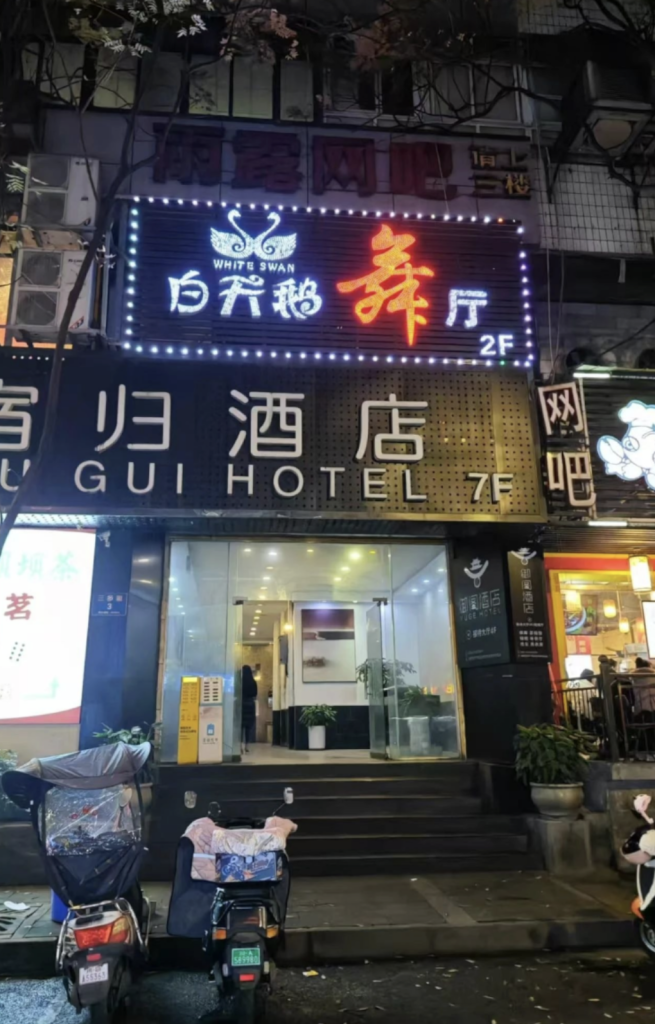 成都 白天鹅